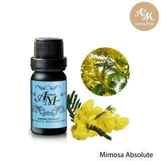 Aroma&amp;More  Mimosa Absolute Dilute 10% India with FCO น้ำมันหอมระเหยมิโมซ่าชนิดเจือจาง 10% แอปโซลูท อินเดีย 10/30ML