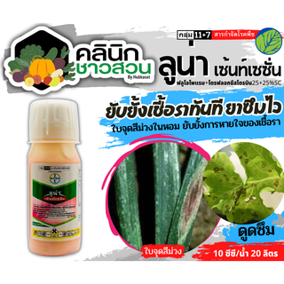 🥬 ลูน่า-เซ้นท์เซชั่น (ฟลูโอไพแรม+ไตรฟลอกซีสโตรบิน) บรรจุ 100ซีซี สารกลุ่มใหม่ ใช้ป้องกันกำจัดโรคใบจุดสีม่วงในหอมหัวใหญ่