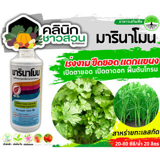 🥬 มารินาโมน (สาหร่ายสกัดทะเล) บรรจุ 1ลิตร เร่งงาม ยืดยอด แตกแขนง