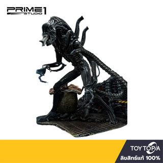 พร้อมส่ง+โค้ดส่วนลด Warrior Alien: Aliens Comics Statue (Deluxe) PMDHAL-02DX by Prime 1 Studio (ลิขสิทธิ์แท้)