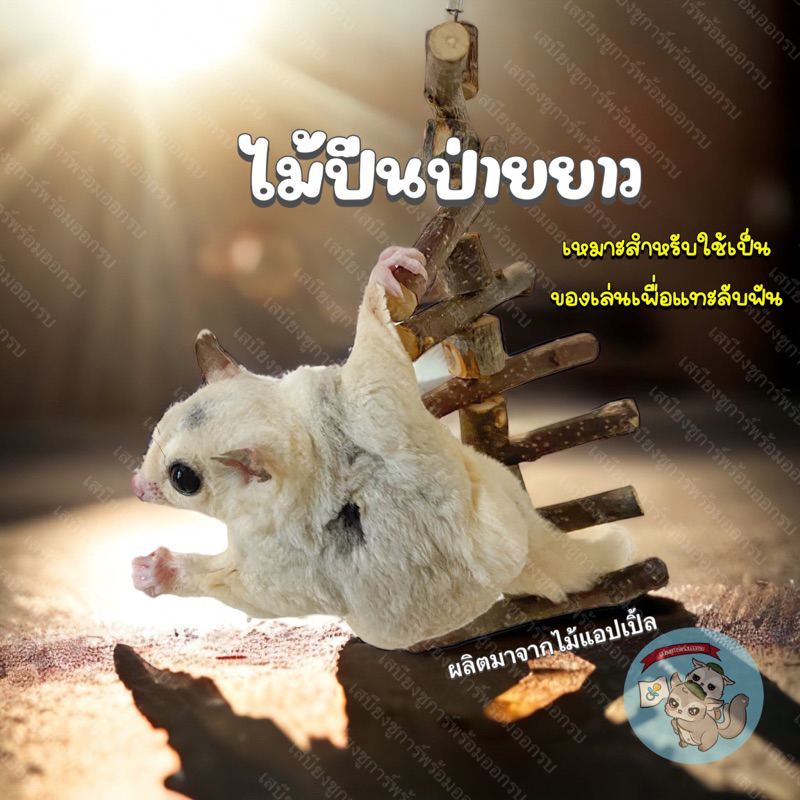 V ( ไม้ปีนป่ายยาว ) ไม้แทะ ไม้แอปเปิ้ล ของเล่นไม้