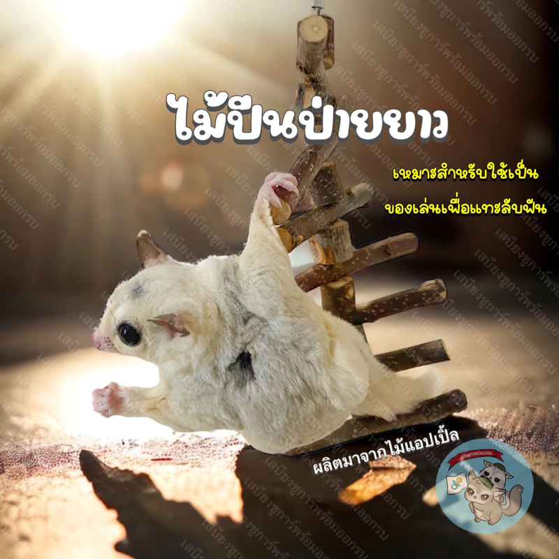 V ( ไม้ปีนป่ายยาว )ไม้แอปเปิ้ล ของเล่นไม้