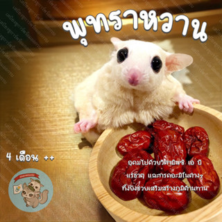 ( JUJUBE - พุทราหวาน ) Jujube fruits ผลไม้ ผลไม้อบแห้ง สัตว์เล็ก อาหาร ขนม ชูการ์ ชูก้า กระรอก แฮมสเตอร์ ดอร์เมาส์