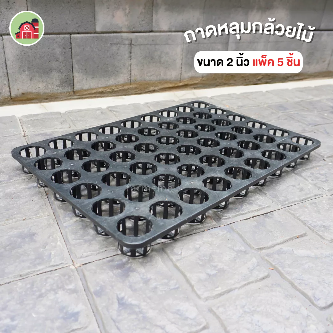 ถาดหลุมกลม 54 หลุม ขนาด 2 นิ้ว แพ็ค5ชิ้น