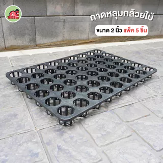 ถาดหลุมกลม 54 หลุม ขนาด 2 นิ้ว แพ็ค5ชิ้น