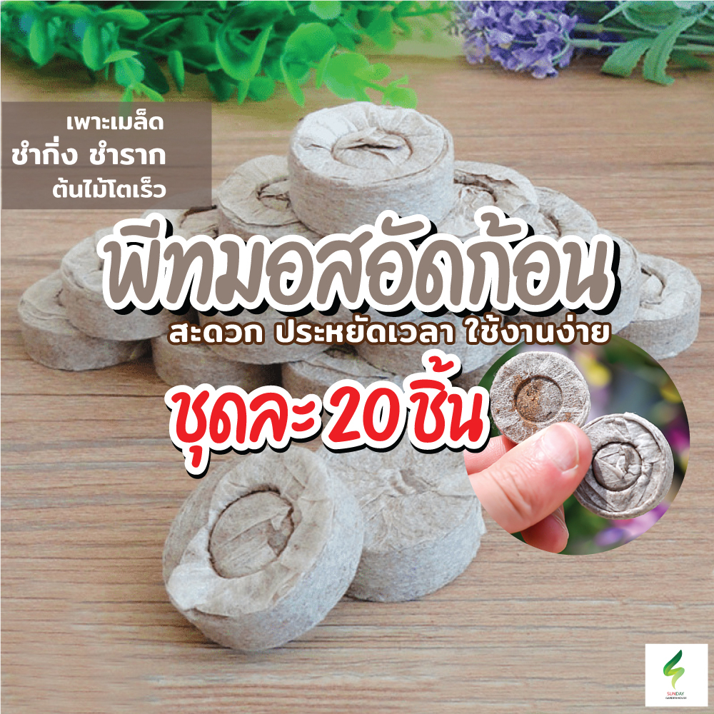 พีทมอสอัดก้อน 100 ชิ้นต่อแพ็ค ใช้งานง่าย Peat Pellets ผสมขุยมะพร้าว ขนาด 30 มม.