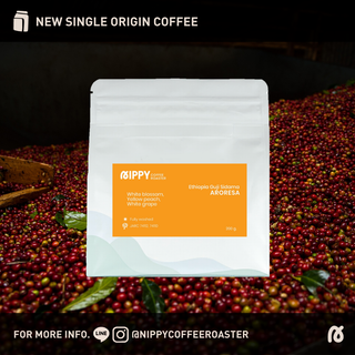 Nippy Coffee Roaster เมล็ดกาแฟคั่ว Ethiopia Guji Sidama Aroresa