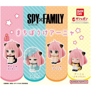 [พร้อมส่ง] Gashapon SPY x FAMILY Anya Forger - Machiboke - 4 pcs SET