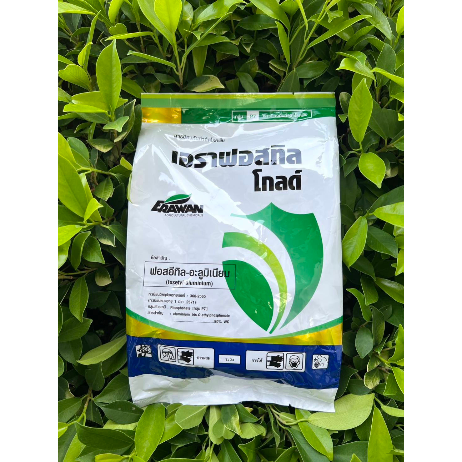 เอราฟอสทิล โกลด์(1Kg): ฟอสอีทิล-อะลู่มิเนียม (Fosethy 80 WG) ป้องกันกำจัดโรครา โรคใบร่วง โรคเน่าดำ