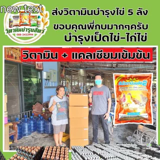 ซันไวตามินพลัส2(1ซองจำนวน1กิโล)บำรุงการออกไข่ของสัตว์โดยเฉพาะไก่ไข่,เป็ดไข่,นกกระทาไข่