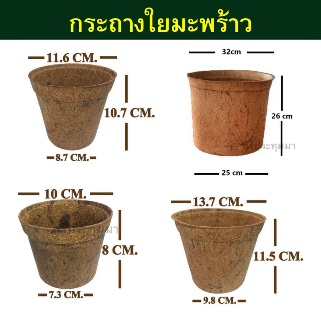 กระถางใยมะพร้าวตามขนาด กระถางปลูกต้นไม้