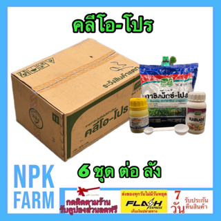 ***ขายยกลัง*** คลีโอโปร ชุดใหญ่ 6 ไร่ ยกลัง 6 ชุด ( โทพรามีโซน+อะทราซีน ) คุม - ฆ่าหญ้าในข้าวโพด ฉีดทับข้าวโพดทุกพันธุ์