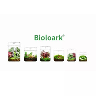 Bioloark Luji Glass Cup สวนขวด โหลแก้ว เทอราเรียม