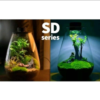 Bioloark terrarium (Bio Bottle LED SD) รูปทรงหยดน้ำ เทอร์ราเรียม สวนขวด ตู้ไม้ชื้น