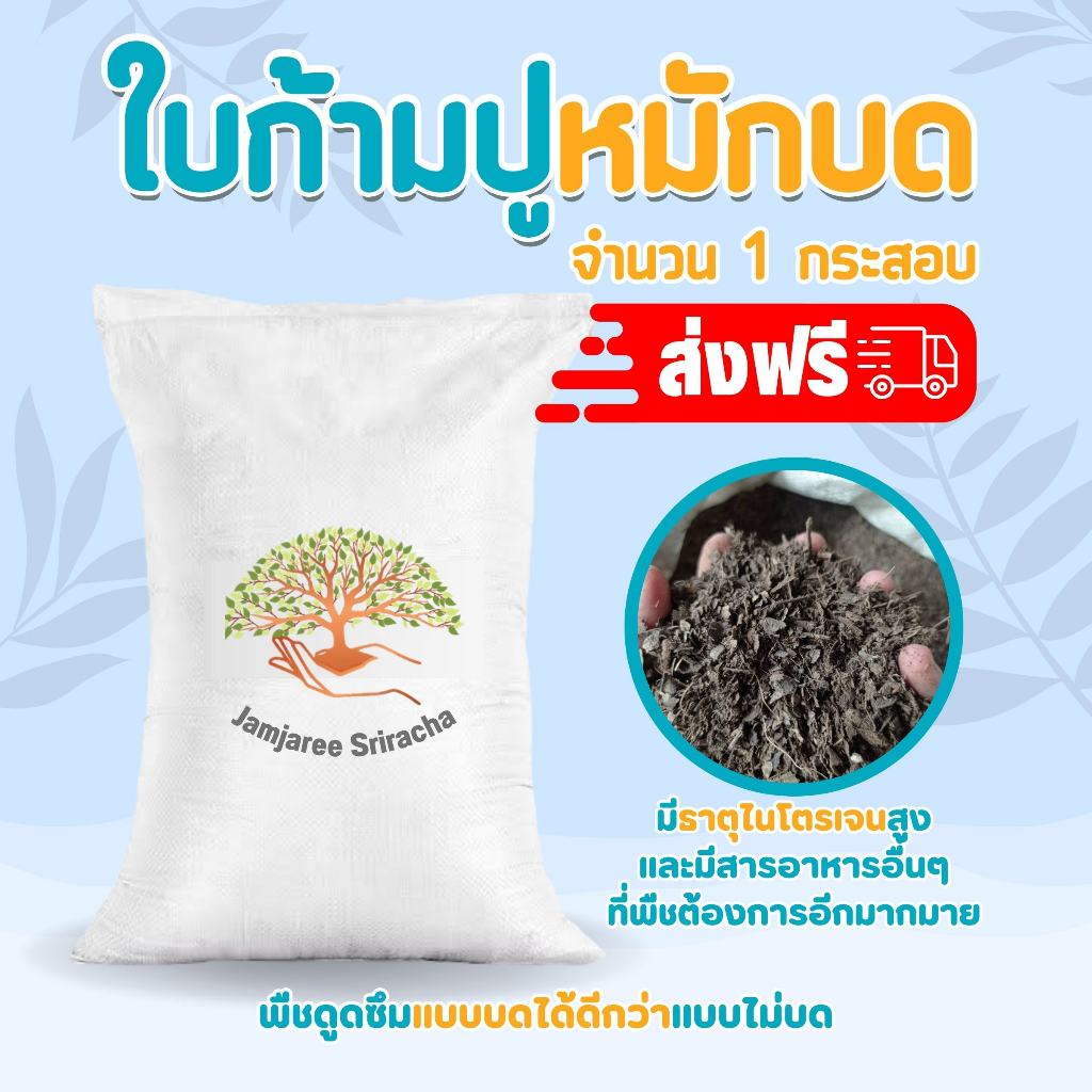 (ส่งฟรี)ใบก้ามปูหมักบด100% 1 กระสอบ(13-15kg.)(เกาะต่างๆสั่งซื้อขั้นต่ำ 5 รายการ)ใช้เวลาจัดส่ง 4-7วัน