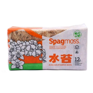 เบสโกรว์สแปกนั่มมอส (Basegrow Sphagnum moss)