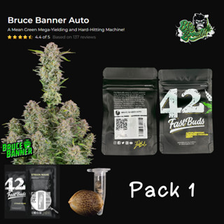 เมล็ดกัญชา Bruce Banner Auto - Fastbuds แพ็ค1เมล็ด