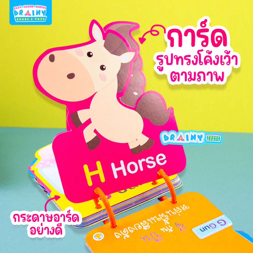 BrainyToys بطاقات مفردات للأطفال 5 فئات — صورة 3
