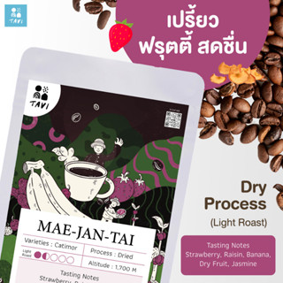 เมล็ดกาแฟแม่จันใต้ Tavi Mae Jan Tai Coffee | Light Roast | Dry Process | เมล็ดกาแฟคั่วอ่อน