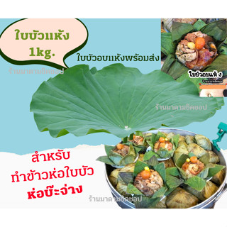 ใบบัว (แห้ง)1กิโลกรัม สำหรับห่ออาหาร ห่อข้าวเหนียว ทำขนมบ๊ะจ่าง ข้าวห่อใบบัว