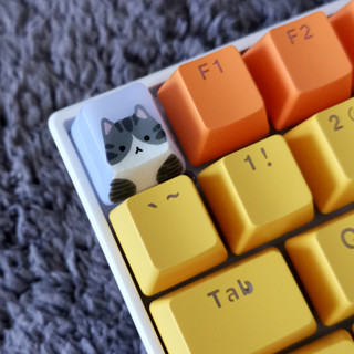 OEM keycap แมวสลิด ลายอานม้า  (สำหรับ mechanical keyboard)