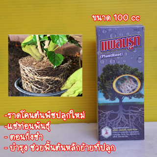 ยาเร่งราก แพลนรูท 100cc เร่งการแตกรากฝอย🌵 ไม้ดอก แคดตัส ไม้ใบ พืชทุกชนิด ใช้คู่กับไฮโทนิค เห็นผลดีมาก