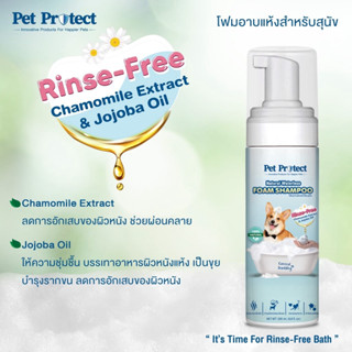 Pet Protect โฟมอาบน้ำแห้ง กำจัดแบคทีเรีย และบำรุงขนสัตว์ จากธรรมชาติ100%