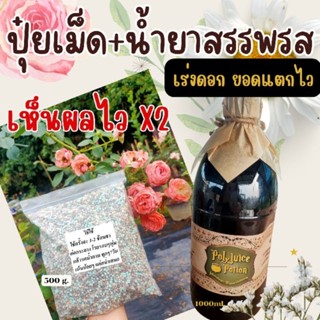 ปุ๋ยกุหลาบ ปุ๋ยเม็ดสูตรพิเศษ500g.+น้ำยาสรรพรสปุ๋ยชีวภาพเห็นผลไวX2 บำรุงต้นแข็งแรง เร่งดอก ดอกดก ดอกใหญ่ รากเดินดี