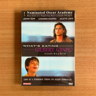 DVD : Whats Eating Gilbert Grape (1993) รักแท้เลือกไม่ได้ [มือ 1 ปกสวม] Johnny Depp Leonardo DiCaprio ดีวีดี