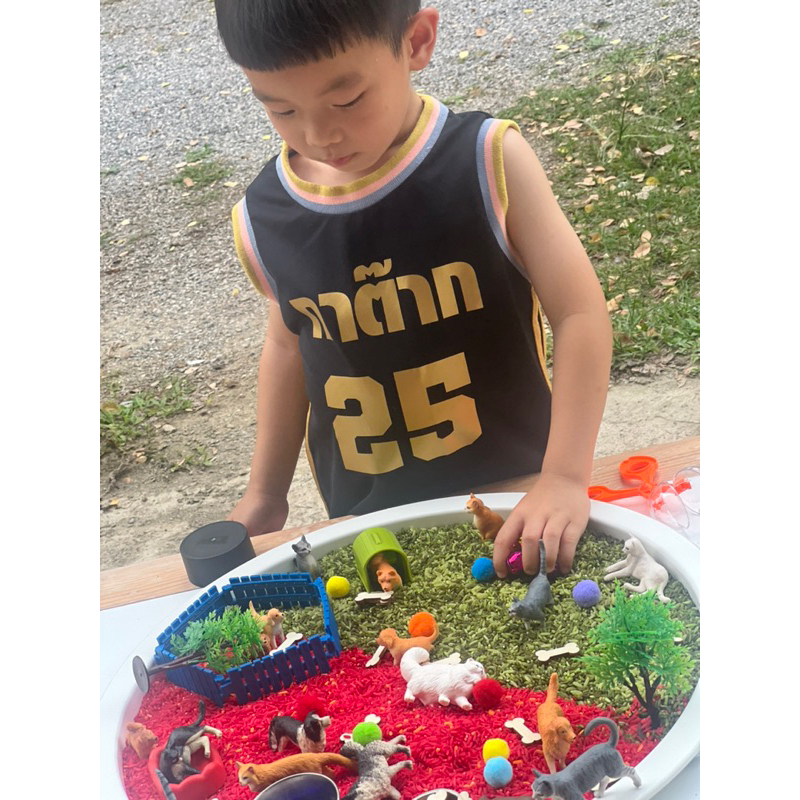 Pets Sensory play โมเดลสัตว์เลี้ยงน่ารัก โมเดลแมว โมเดลน้องหมา(พร้อมส่ง ) ราคา ถูกที่สุด ดีลบีเคเค แกลเลอรีภาพที่ 3