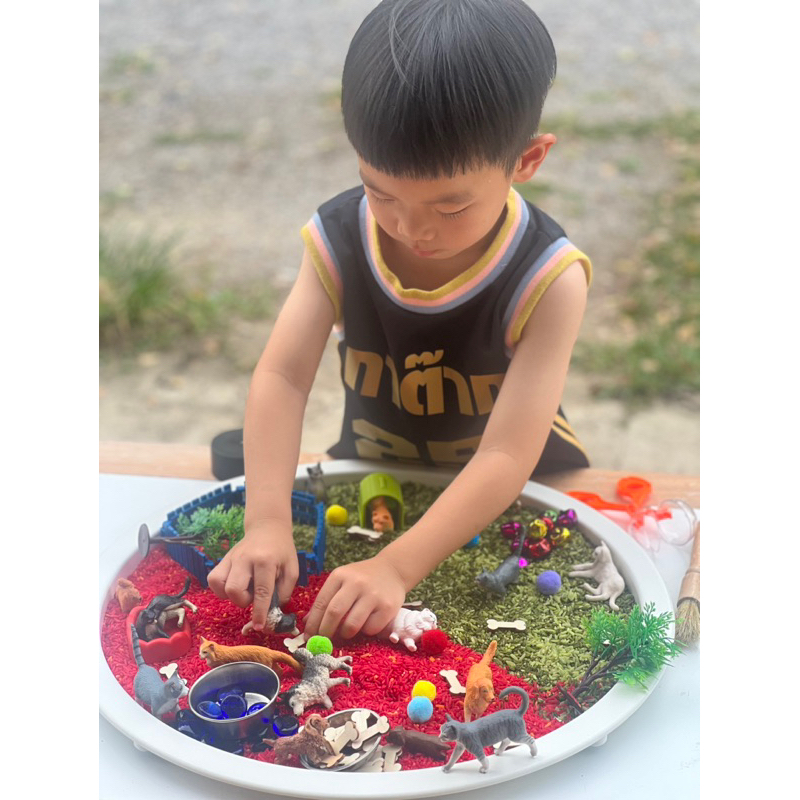 Pets Sensory play โมเดลสัตว์เลี้ยงน่ารัก โมเดลแมว โมเดลน้องหมา(พร้อมส่ง ) ราคา ถูกที่สุด ดีลบีเคเค แกลเลอรีภาพที่ 6