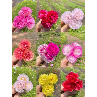 กิ่งแพรเซี่ยงไฮ้ 1 กก แถมครึ่ง กก คุ้มสุดๆได้ถึง 15 สี