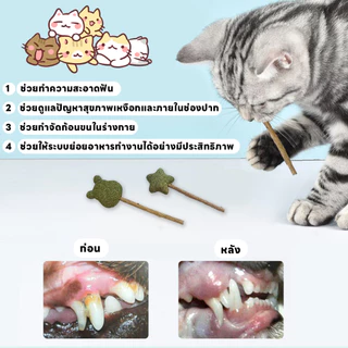 yoyopet : Catnip Lollipop อมยิ้มแคทนิปเสียบไม้มาทาบิ สมุนไพรแมวฟิน แคทนิปแมว ของเล่นแมว