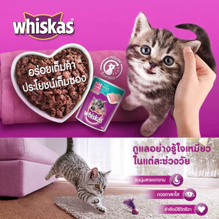 Whiskas วิสกัส ชนิดเม็ด 7kg สูตรแมวโต (1 ปีขึ้นไป) ที่มาพร้อมสารอาหารครบถ้วน ให้เจ้าเหมียวเคี้ยว เม็ดกรุบกรอบแสนอร่อย