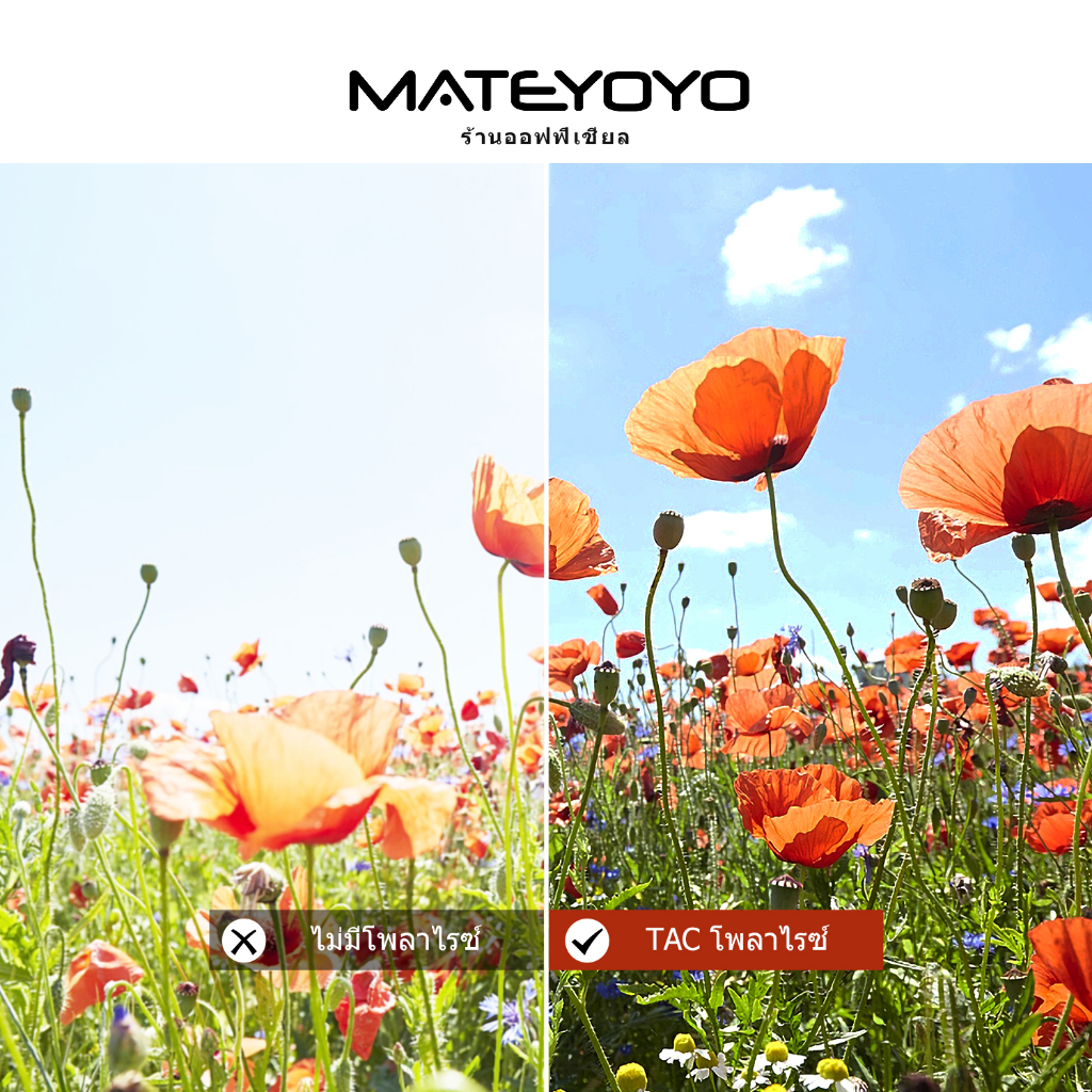 MATEYOYO แว่นตากันแดด แว่นตาแฟชั่น แว่นสไตส์