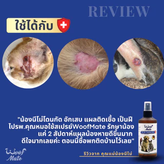 WoofMate สเปรย์ดูแลแผลสัตว์ 1000ml | สัตวแพทย์แนะนำ | หมา แมว กระต่าย | เชื้อรา คัน ยีสต์ แผลต่างๆ