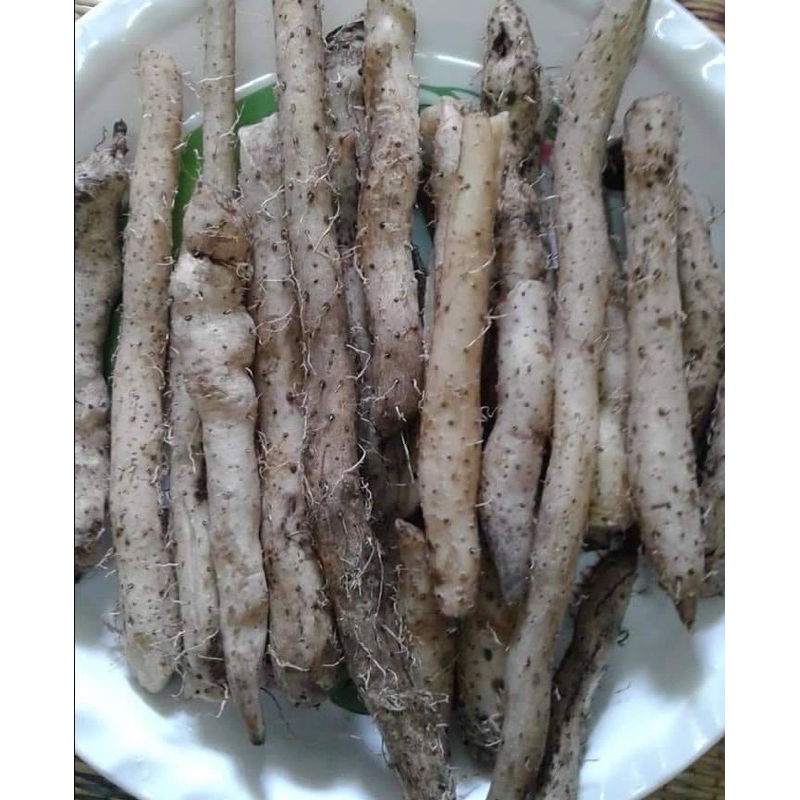 มันเทียน 1ชุด3กก ขุดสดใหม่