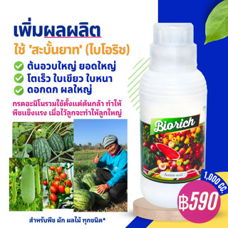 ไบโอริช (1000 ซีซี) กรดอะมิโนรวม ทำให้ต้นอวบใหญ่ ยอดใหญ่ โตเร็ว ใบเขียว ใบหนา ดอกดก ผลใหญ่