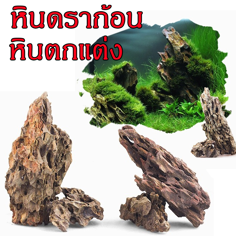 หินดราก้อน หินฟันม้า หินรูพรุน หินตู้ปลา หินสำหรับ หินแท้ 100%