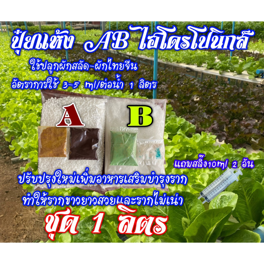 ปุ๋ยแห้ง AB ผักสลัดผักไทย สูตร 1 ชุดคู่ 1 ลิตร แถมสลิ๊ง 10 cc 2 อัน