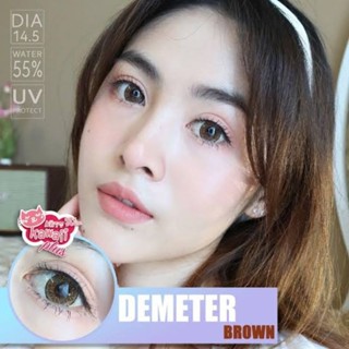 💖 Kitty kawaii Demeter brown gray Contactlens บิ๊กอาย คอนแทคเลนส์ ราคาถูก แถมตลับฟรี