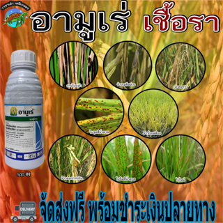 อามูเร่ 500 ซีซี ข้าวกาบใบแห้ง เมล็ดด่าง ข้าวดอกกระถิน เน่าคอรวง ใบจุดสีน้ำตาล ใบไหม้  ราชาเต่าเกษตร