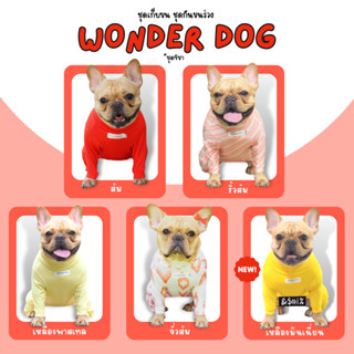 ชุดเก็บขน wonder dog เสื้อสุนัข เสื้อแมว ชุดกันขนร่วงสุนัข ชุดสัตว์เลี้ยง โทนส้มเหลือง