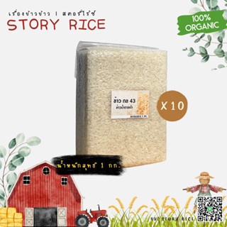 ข้าวขาว กข43 ข้าวน้ำตาลต่ำ ชุด 10 กก. แพ็คสุญญากาศ | Story Rice