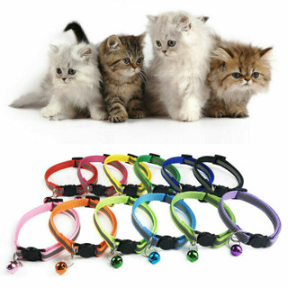 ปลอกคอแมวนิรภัย เซฟตี้ สะท้อนแสง reflective cat collar safety lock [แถบ]