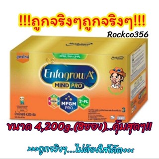 นมเอนฟาโกรเอพลัส มายด์โปร์ฯ, รสจืด4,200g.,3,400g.(ใหม่8ซอง)