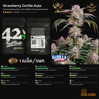 เมล็ดกัญชา Strawberry Gorilla Auto - Fastbuds Pack : 1 seed พร้อมแพ็คเกจค่าย เมล็ดกัญชาออโต้