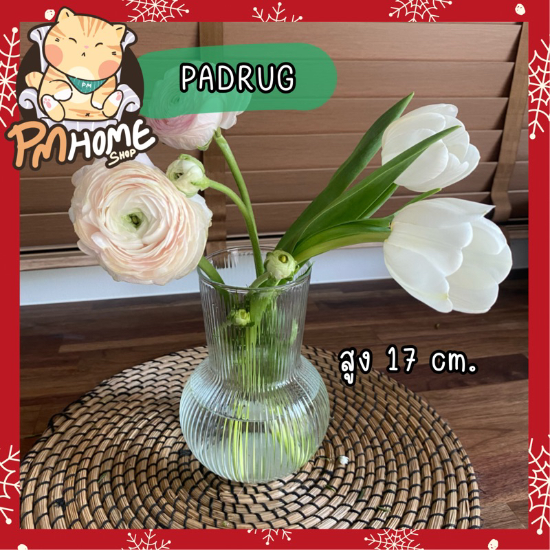 พร้อมส่ง แจกัน แจกันแก้ว PADRAG 16cm แจกันสวยๆ แจกันikea ของแต่งบ้าน ตกแต่งบ้าน