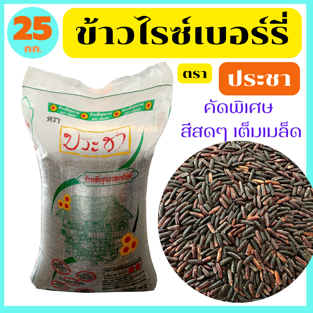 ข้าวไรซ์เบอรี่แท้100% คัดพิเศษ สุรินทร์ สีสดจากท้องนา เมล็ดสีม่วงดำ สวย ยาว หุงง่าย ตรา ประชา 25 กก.