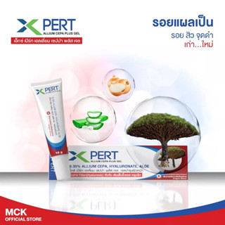 X-pert gel สมานแผลเป็น ลดรอยแผลเป็น ลดเลือนริ้วรอย รอยดำจากสิว (Dragon blood + Hyaluronic + Allium cepa) 10 g.